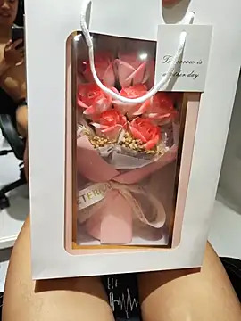mochi8802 webcam