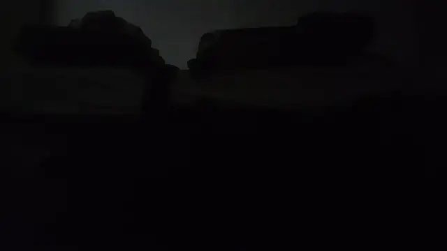 ZeldaSneakyLink webcam