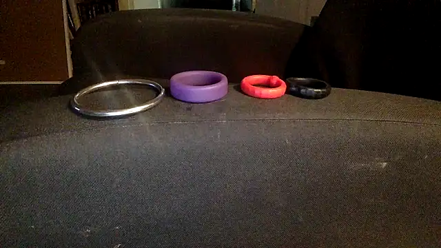 Thorandkitty webcam