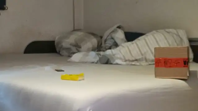 Alphapimmelchen webcam