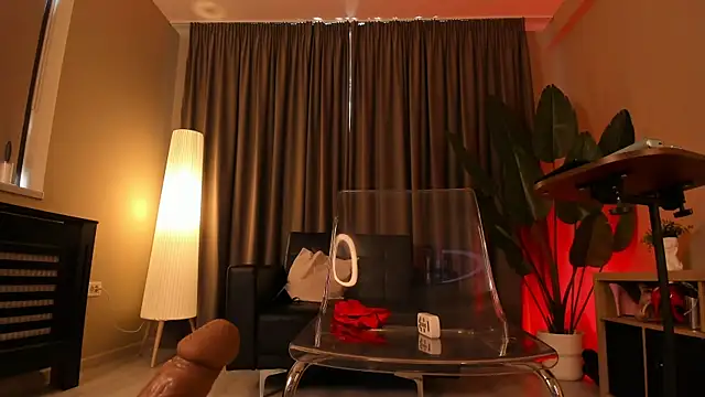 torri_kitten webcam