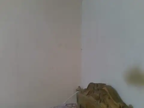 elpoop7305 webcam