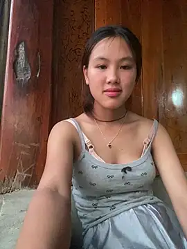 hoa_mai webcam