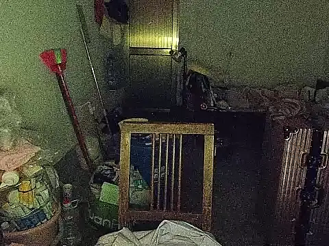 RebelAura webcam