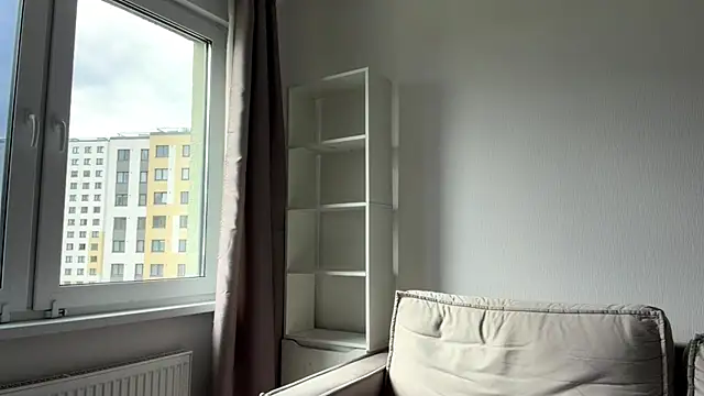 art_object webcam
