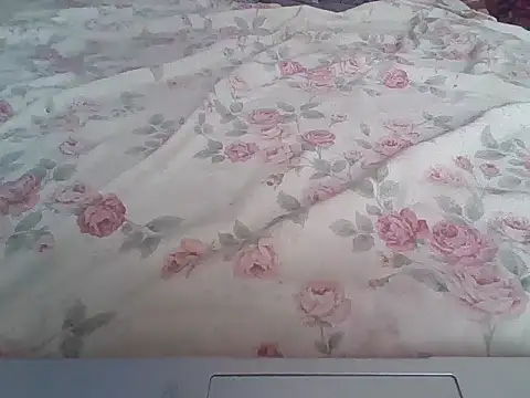 Hotcoffeeplus webcam