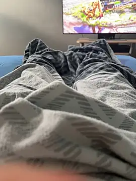 Bistouflex webcam