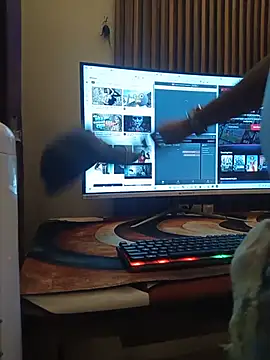 The-OG-Segi webcam
