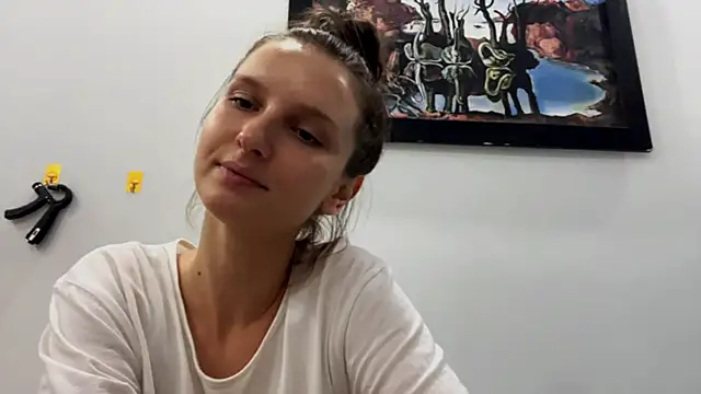 VanMendrin webcam