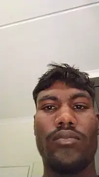 JoesPickle webcam