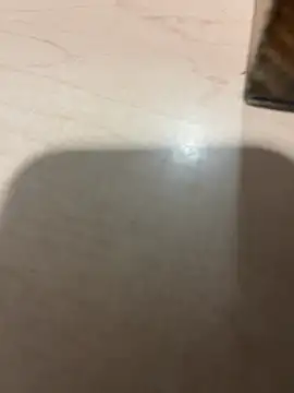 Cesarelpitoduro