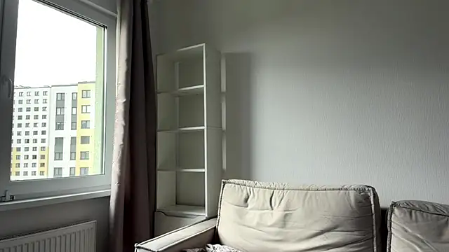 art_object webcam
