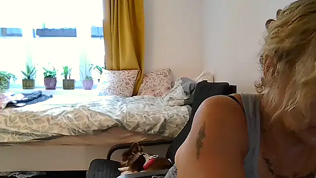 belgianshantie webcam