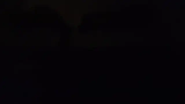 ZeldaSneakyLink webcam