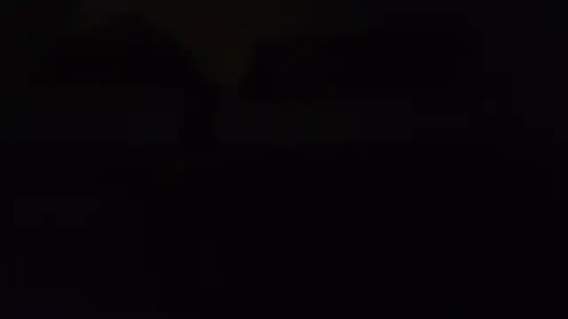 ZeldaSneakyLink webcam