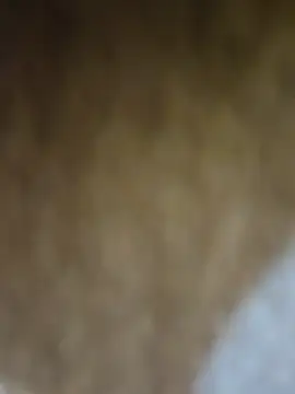 Desi_wali_bhabhi webcam