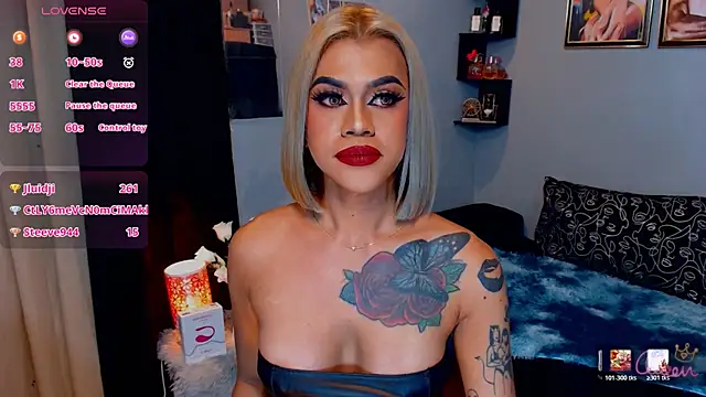 StellaStrong30 webcam