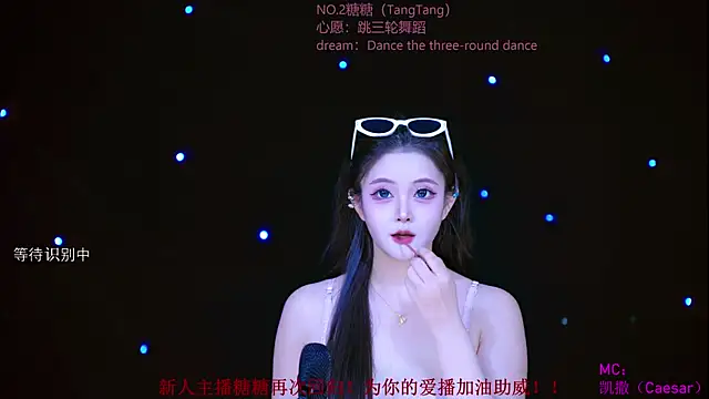 CCTW-100 webcam