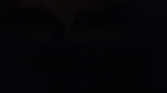 ZeldaSneakyLink webcam
