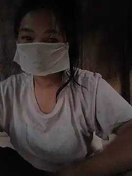 Hiha-nn webcam