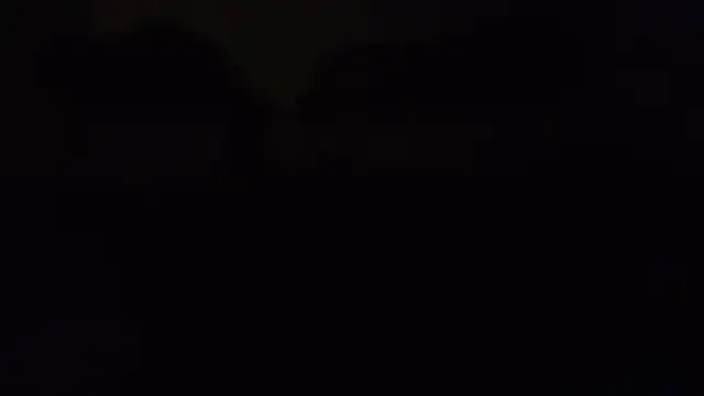 ZeldaSneakyLink webcam