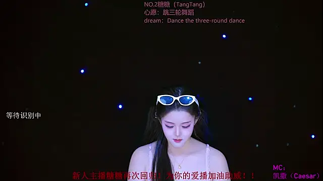 CCTW-100 webcam