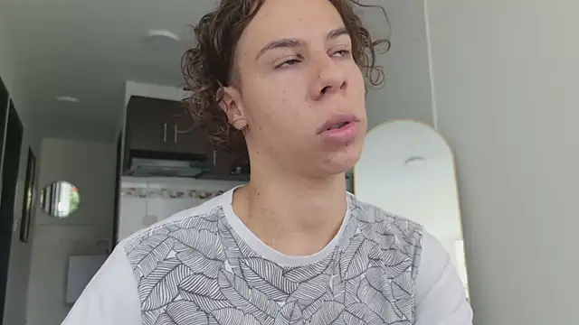 grey___27 webcam