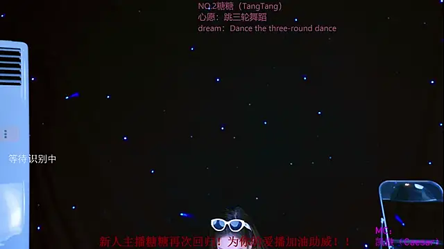 CCTW-100 webcam