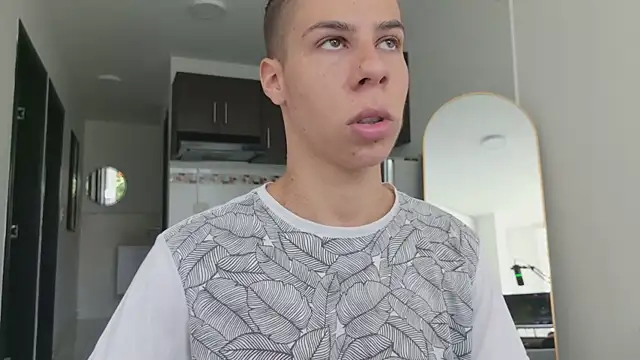 grey___27 webcam