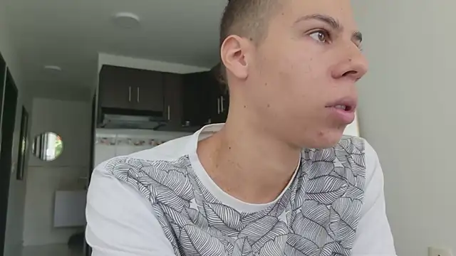 grey___27 webcam