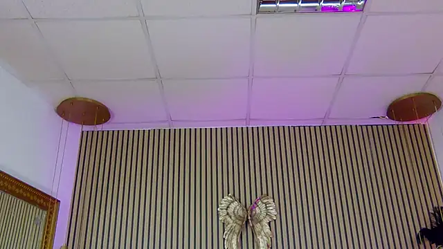 PlayfulShow webcam