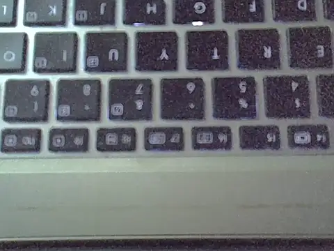 Delicious-D webcam