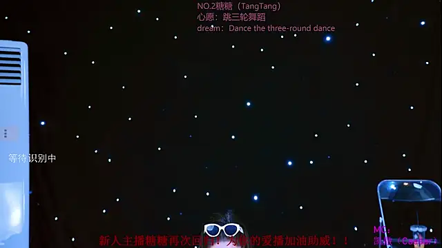 CCTW-100 webcam