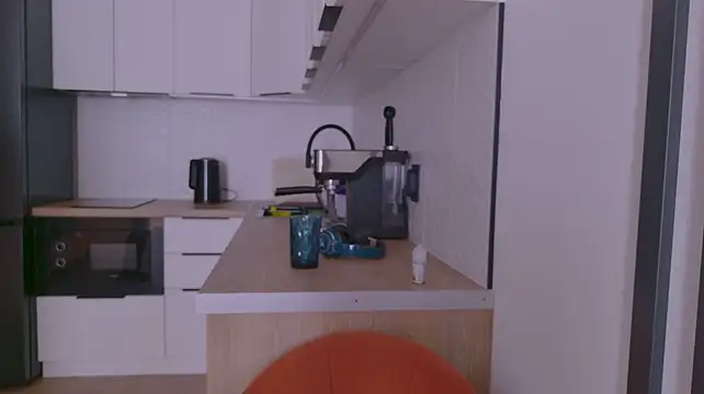 Pink_SeaGull webcam