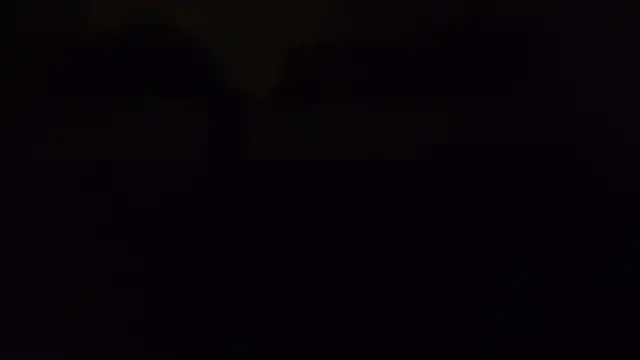 ZeldaSneakyLink webcam