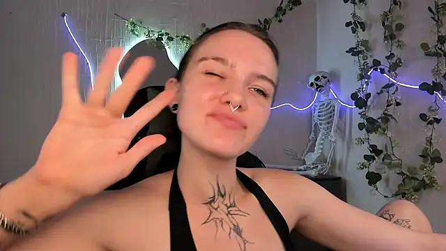 Elastikisss webcam