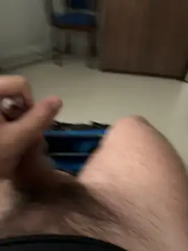 gintropino webcam