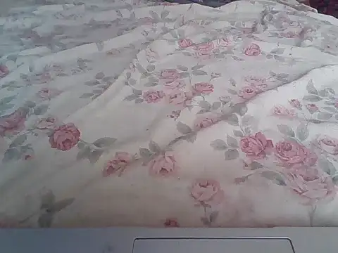 Hotcoffeeplus webcam