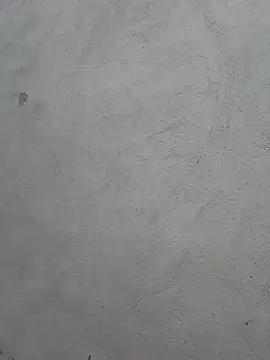 -Pudi- webcam