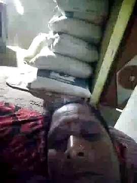 Loomaraj webcam