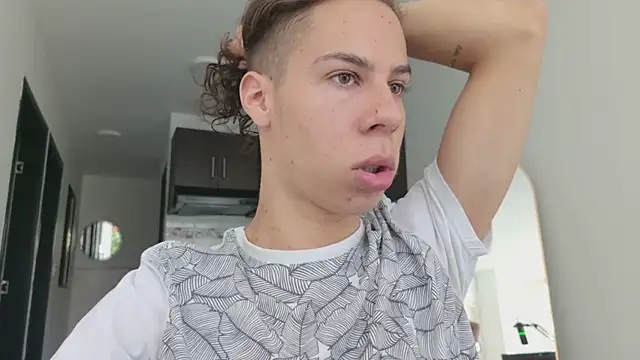 grey___27 webcam