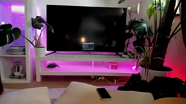 rubix_ts webcam