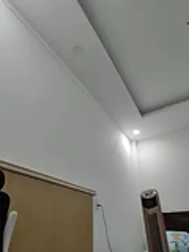 Fanritar webcam