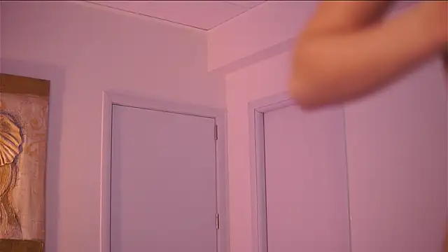 AdaSoll webcam