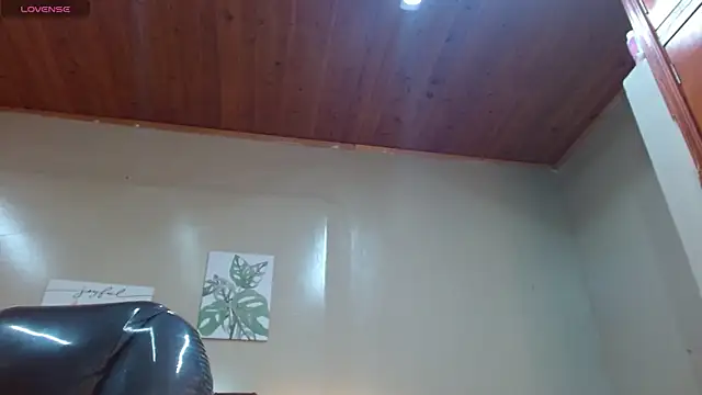 FelipeFriendly webcam