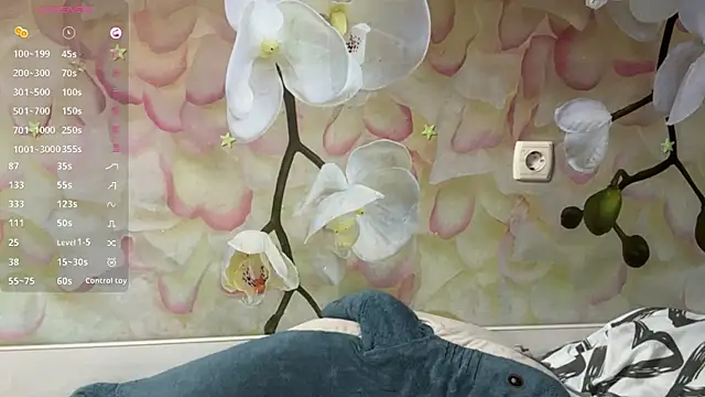 JenCloud webcam