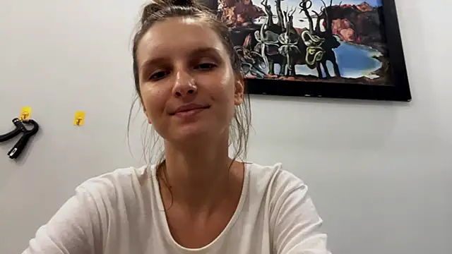 VanMendrin webcam