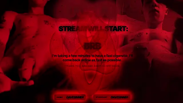 davesinner webcam