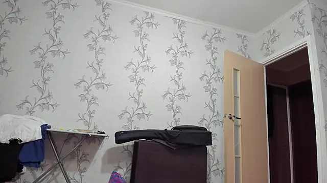 SanFrantsisko webcam