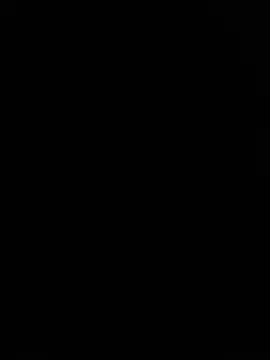 kotkite webcam